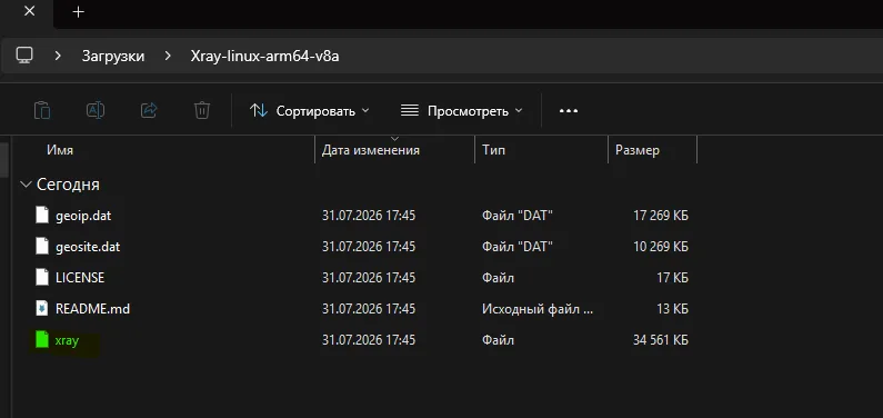 Содержимое распакованного архива Xray: geoip.dat, geosite.dat, LICENSE, README и бинарник xray