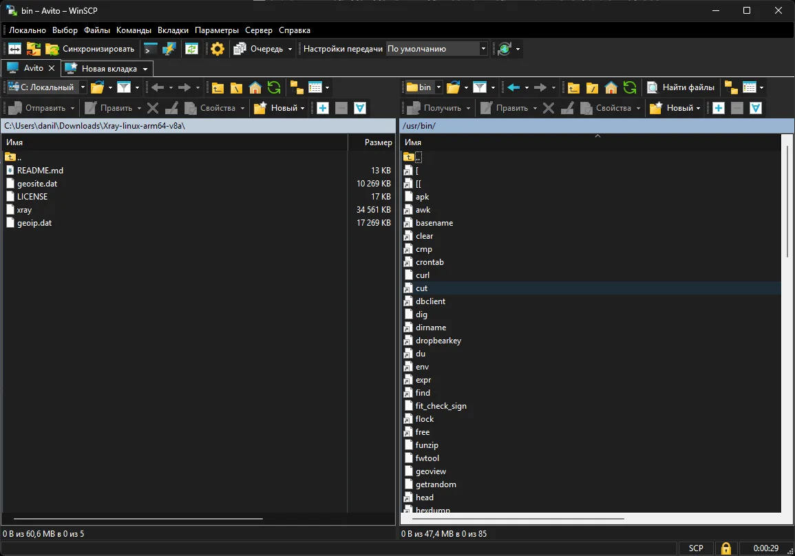 Две панели WinSCP: слева распакованный Xray, справа каталог /usr/bin роутера