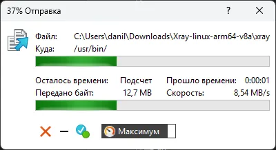 Индикатор копирования файла xray в /usr/bin роутера в WinSCP