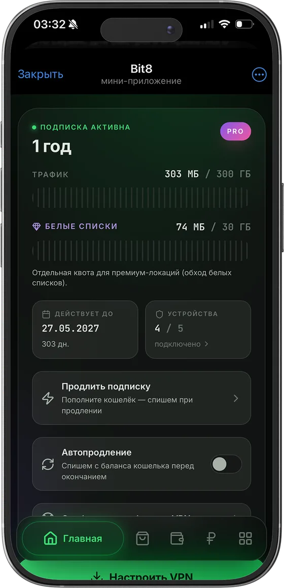 Мини-приложение с активной подпиской: остаток трафика, отдельная квота на белые списки, срок действия и число устройств